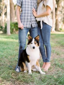 Natalie Broach Photography | Jacksonville, Florida couples session | couple with dog | Park Photoshoot | Jacksonville Couple Photographer